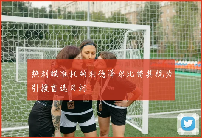 热刺瞄准托纳利德泽尔比将其视为引援首选目标